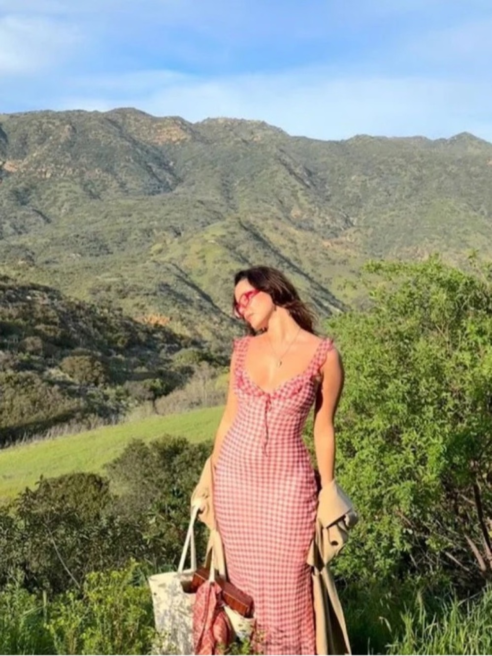 Realisation Par Heidi Rouge Gingham Dress - Picture 2 of 11